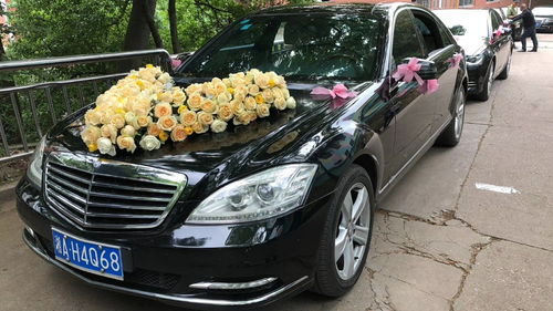 河南租車報(bào)價(jià)、廠家資源與二手車經(jīng)銷市場(chǎng)概覽